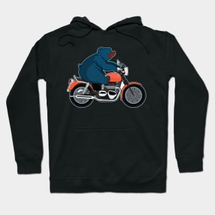 Bear On A Bike Hoodie